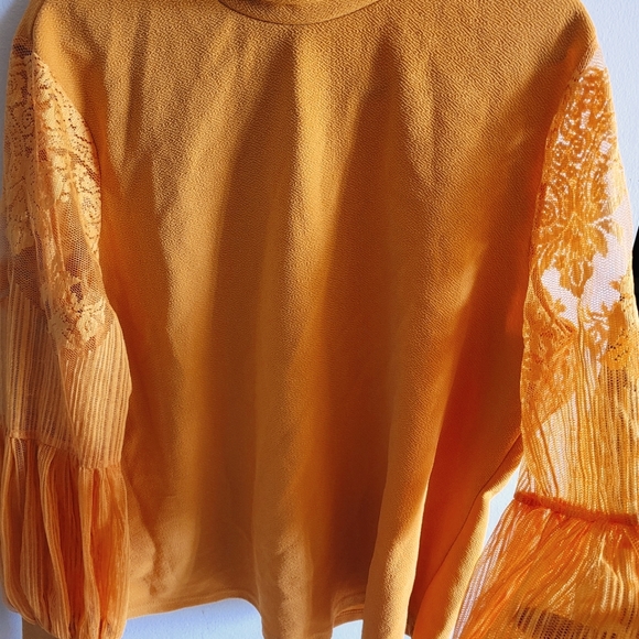 Plus Size High Neck Lace Bishop Sleeve Top - Picture 1 of 9